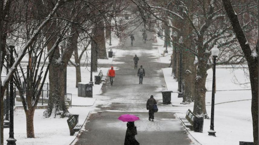 snowstorm.JPG