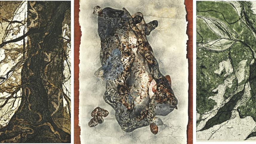 soul of the soil.jpg