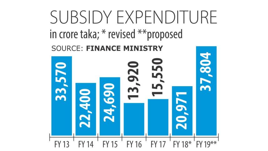 Subsidy outlay.jpg