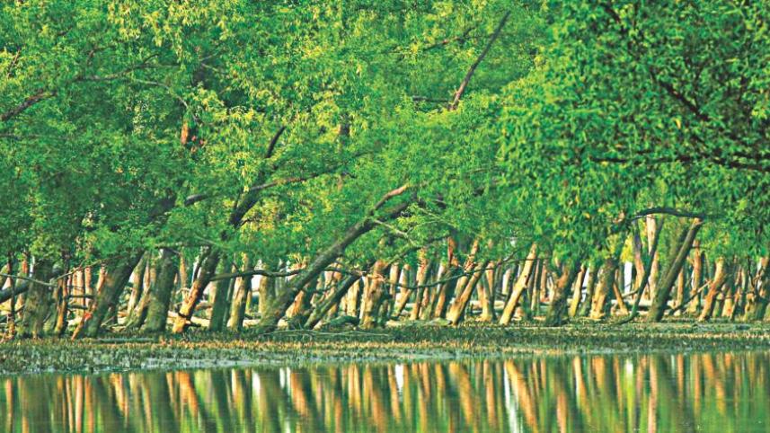 sundarban-threat.jpg