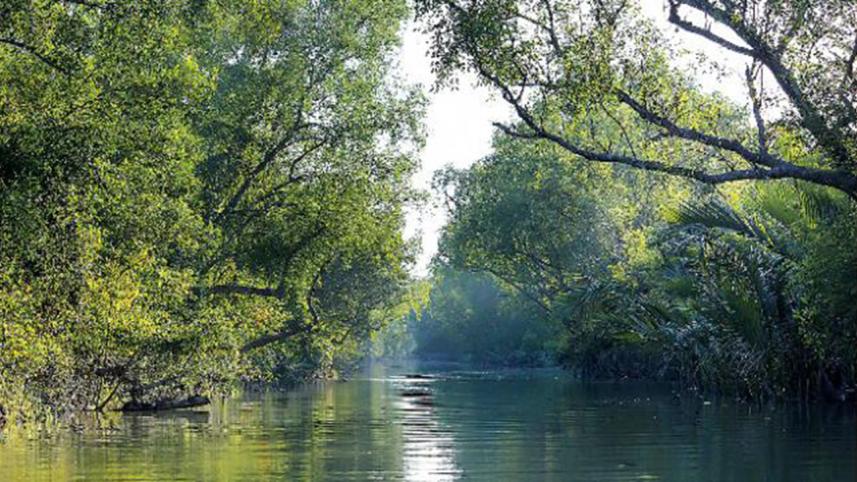 Ban on tourism in Sundarbans