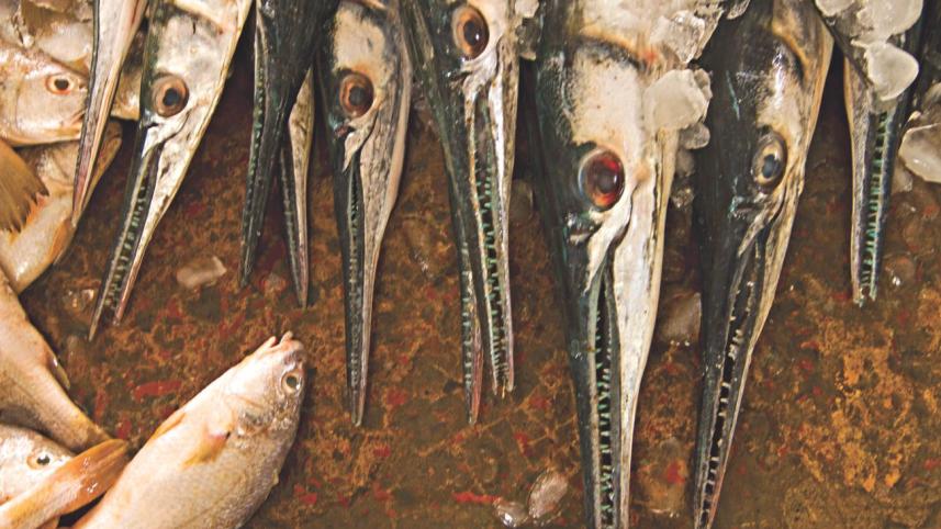 Surviving fish market