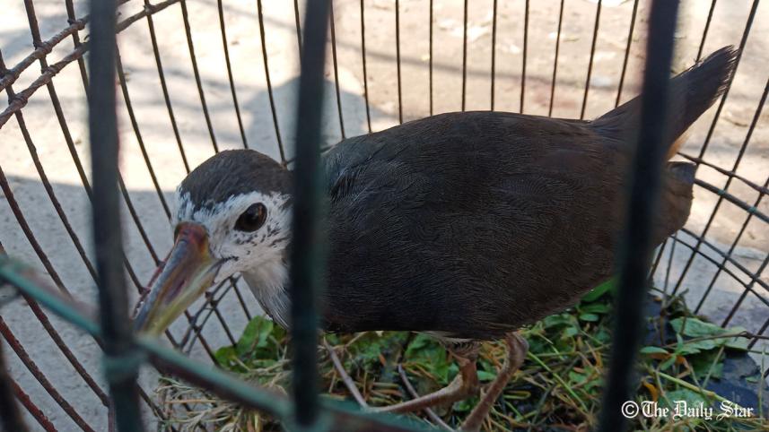 Sylhet Sheikh Nasir..29.10.19..-- (7).jpg