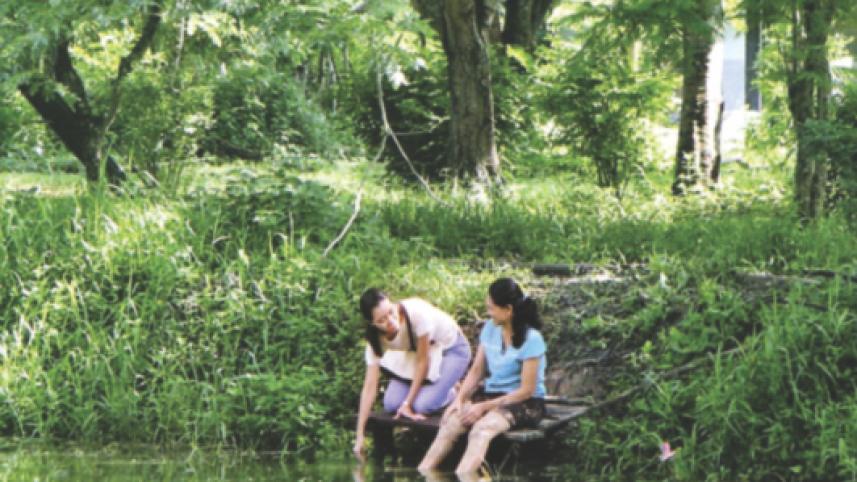 Syndromes and a Century.jpg