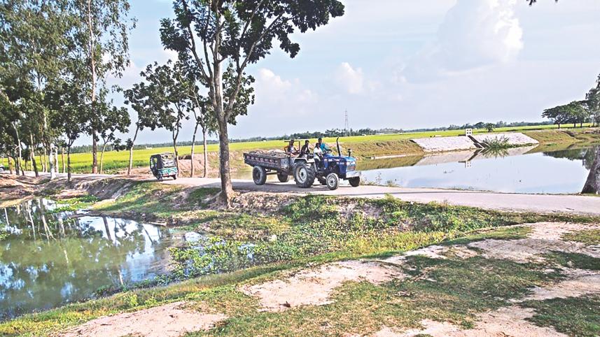 Teesta Project Irrigation hampered.jpg