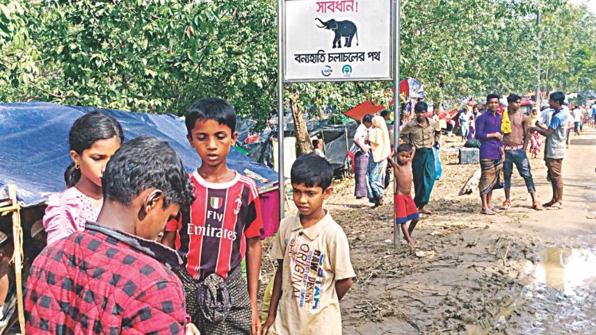 Animal movement in Cox’s Bazar