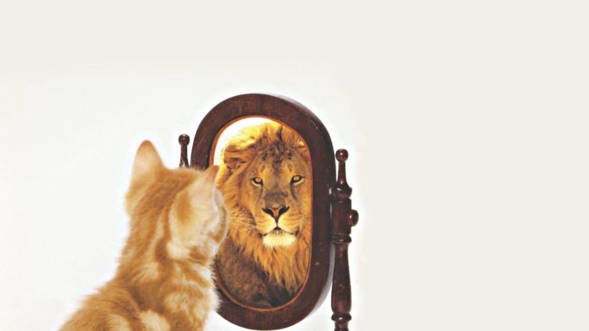 The Beauty Regimen that Costs Nothing