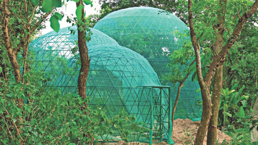 The Butterfly Park & Research Centre