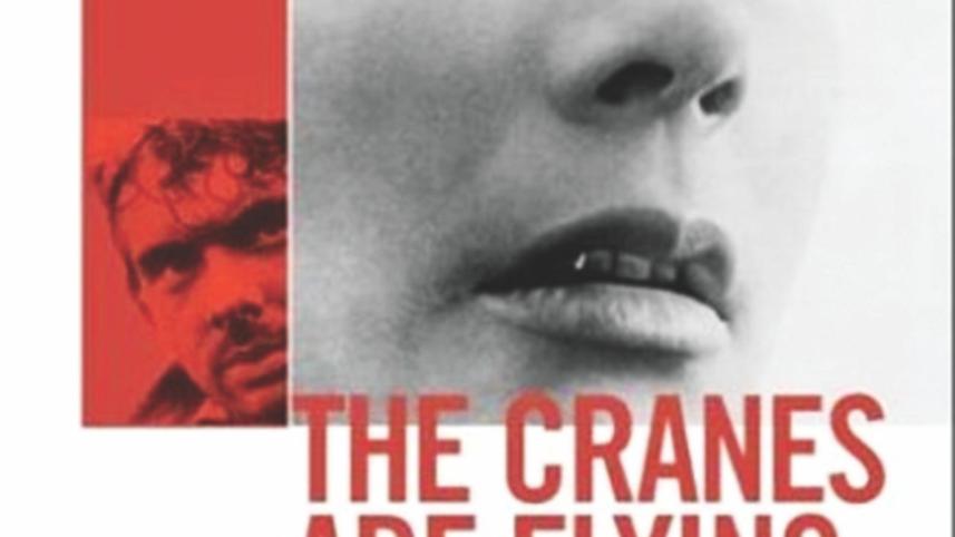 The Cranes Are  Flying (1957)
