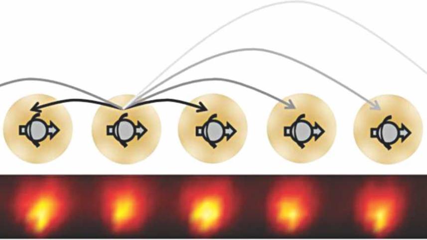 The Discovery of Time Crystals