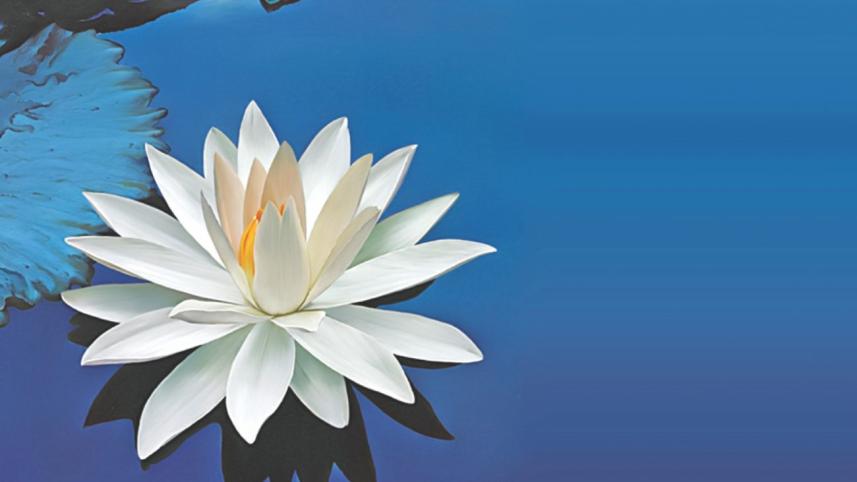 The language of flowers