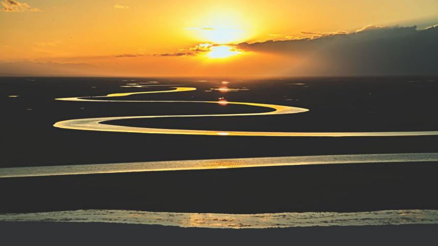 The snake that fell ill