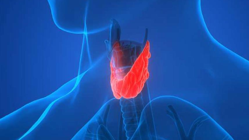 Thyroid Gland disorders