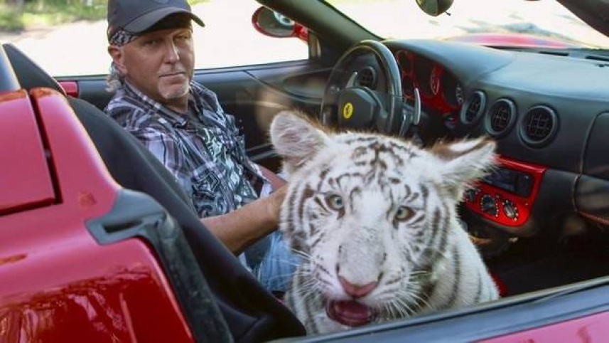 Tiger King.jpg