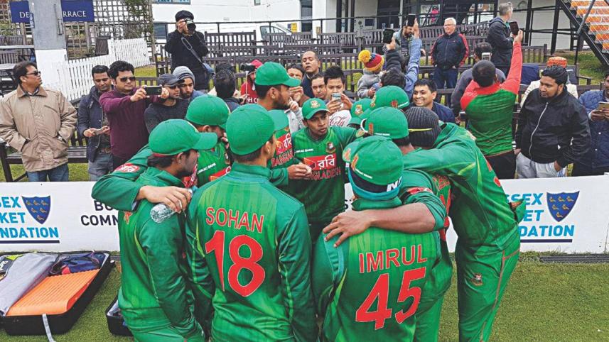 tigers in Sussex.jpg