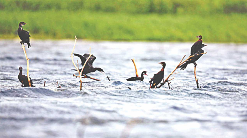 Towards sustainable use of natural resources