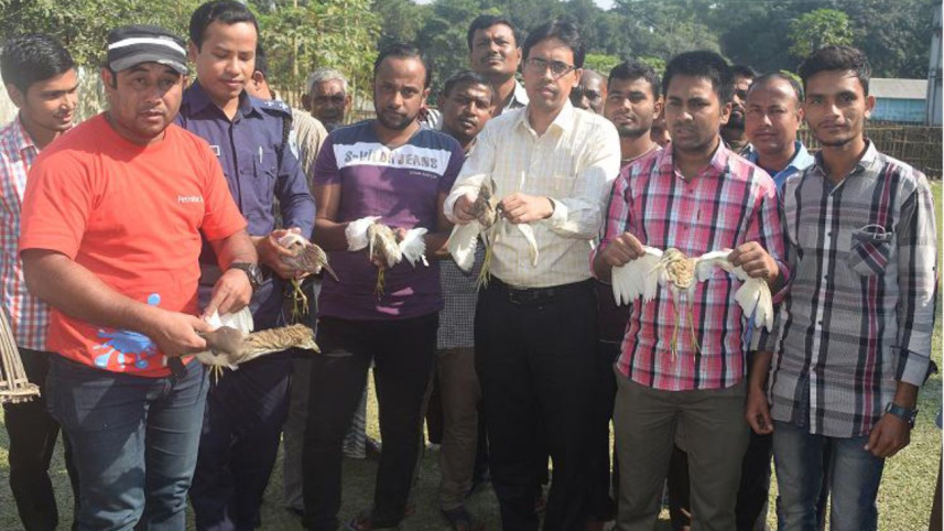 Trapped birds freed.jpg