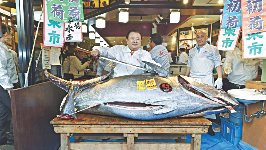 Tuna.jpg