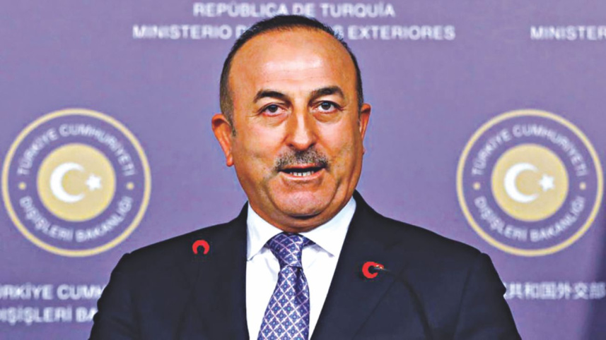 Turkish Foreign Minister Mevlut Cavusoglu.jpg