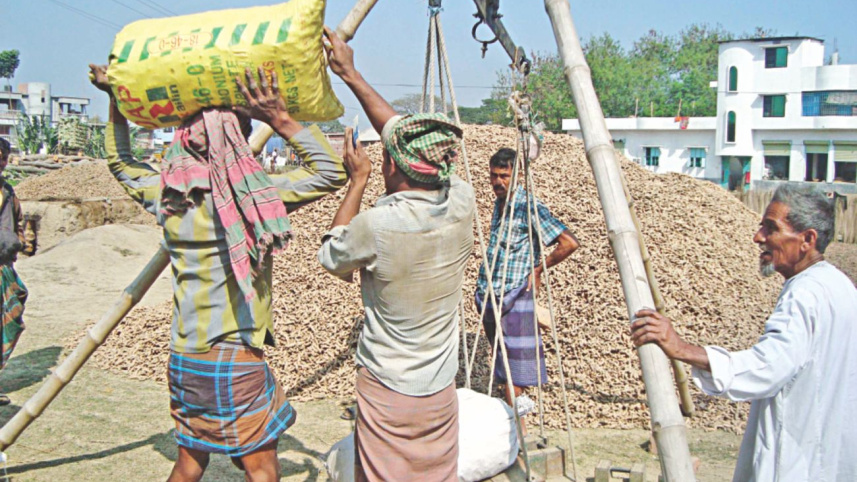 Turmeric traders 1.jpg