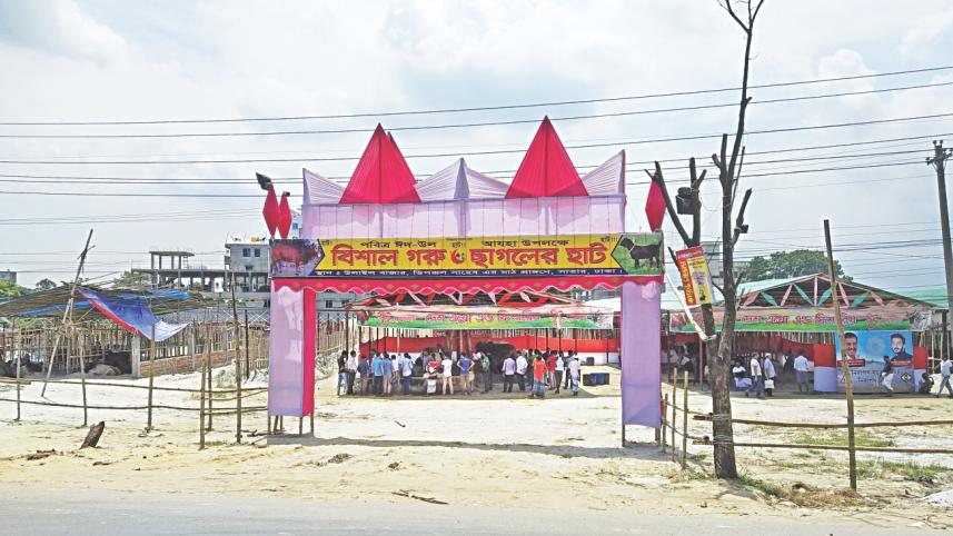 Unapproved cattle market.jpg