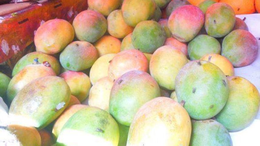Untimely ripened mangoes.jpg