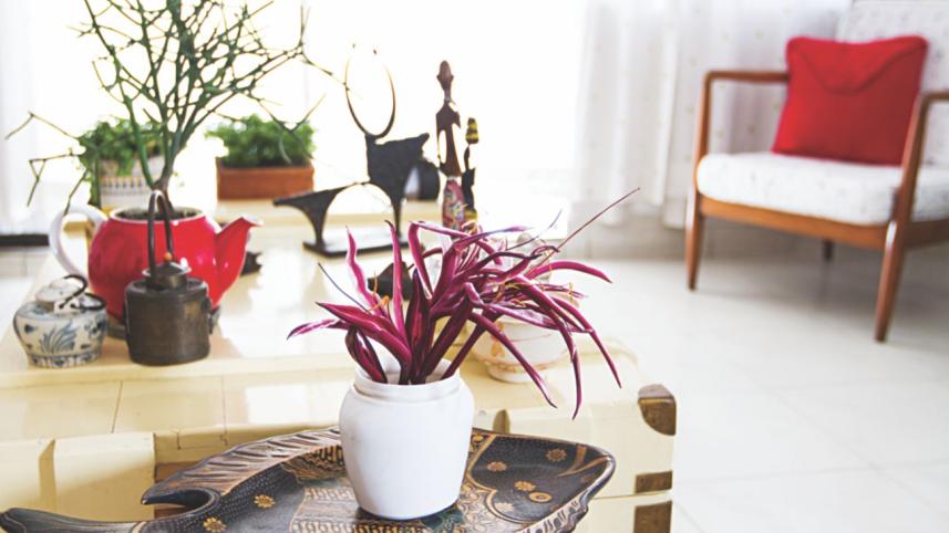 Using flower as decor 