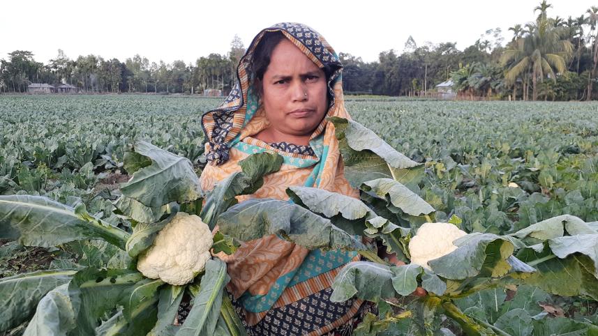 Vegetable growers Lalmonirhat.jpg