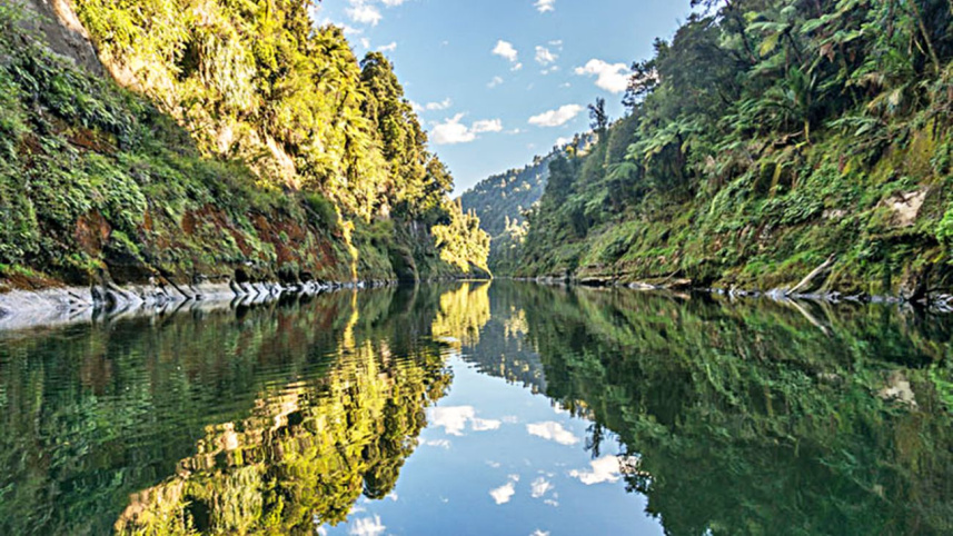 wellington river.jpg