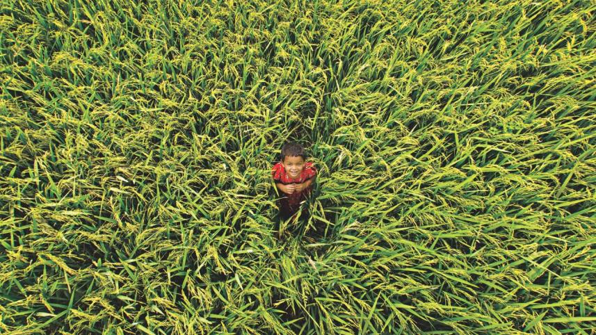 WHAT MAKES A HAPPY COUNTRY