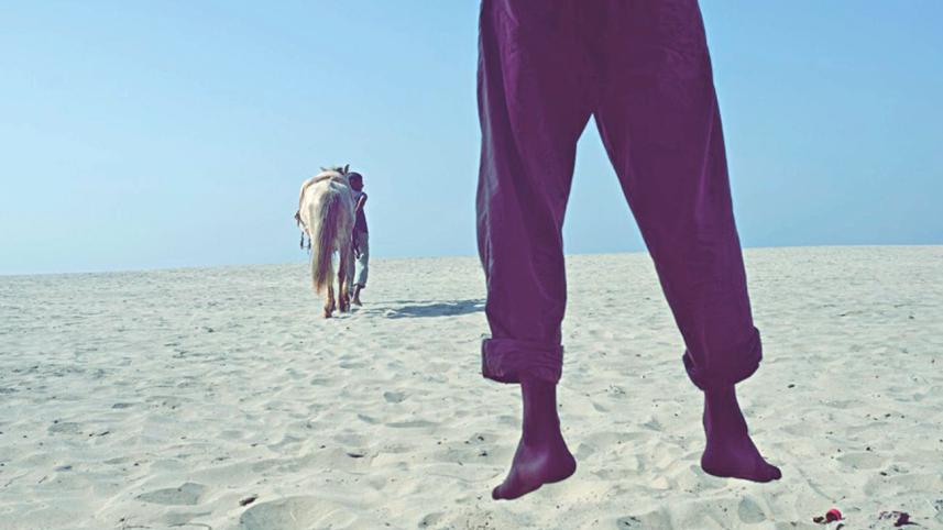 WHAT'S LIFE WITHOUT HORSES