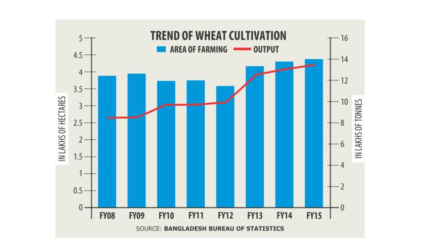 wheat cultivation.jpg