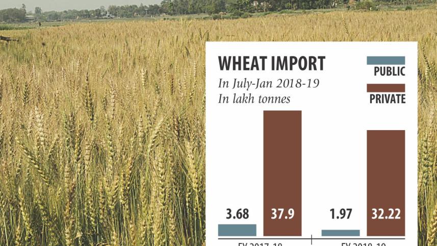 wheat import.jpg