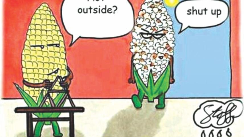 Where Them 6 Seasons At