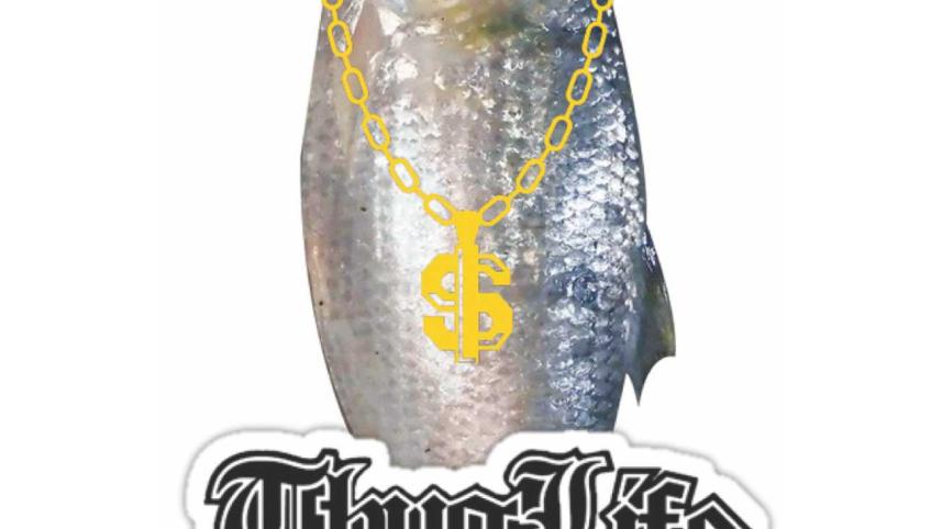 Why You Should Never Trust an Ilish Machh