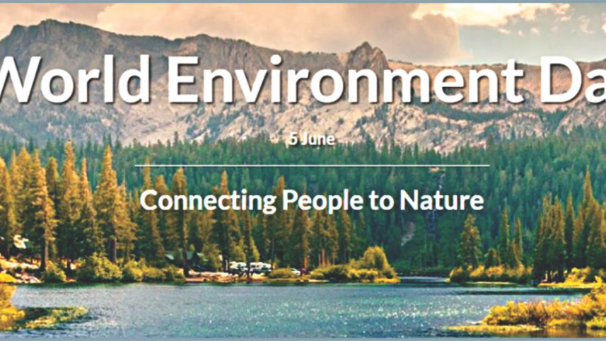 world environment day.jpg