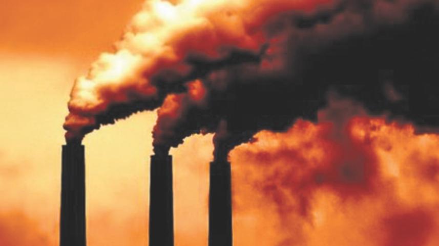 World Food Program.jpg