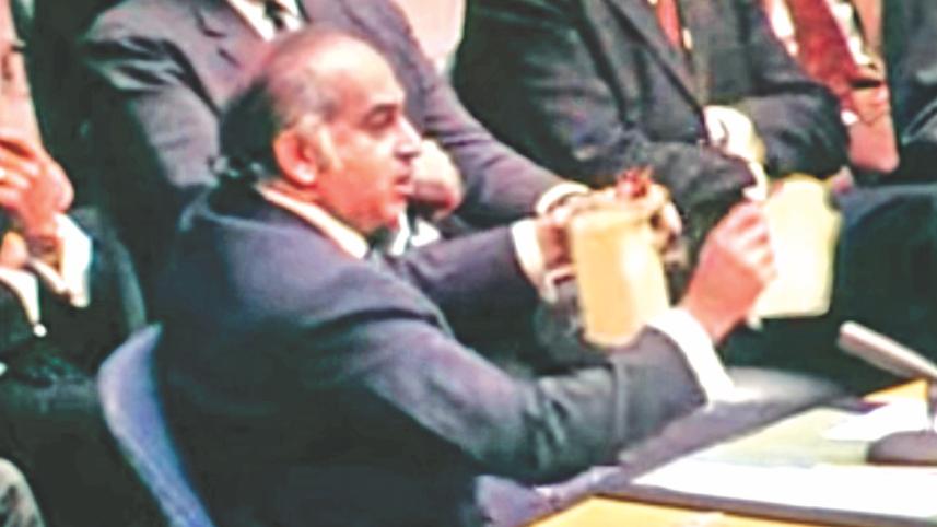 zulfikar ali.jpg