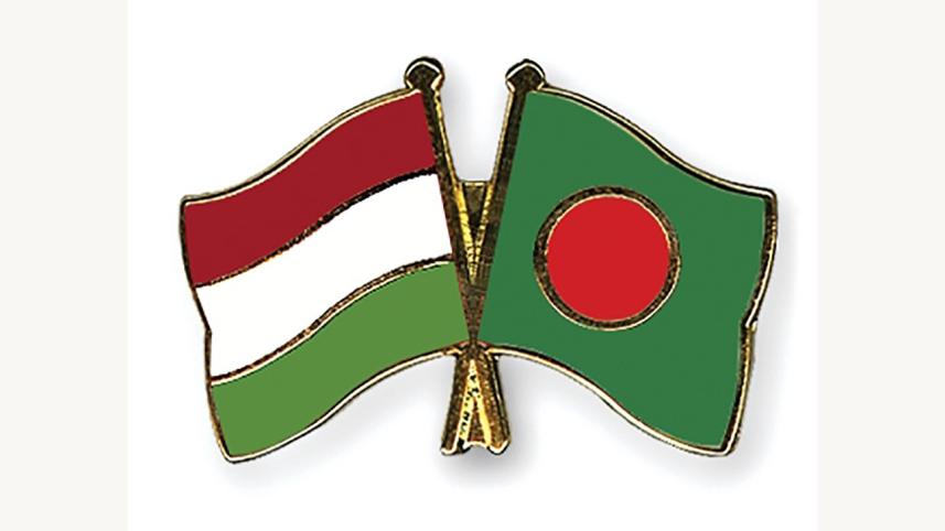 flag-pins-hungary-bangladesh.jpg