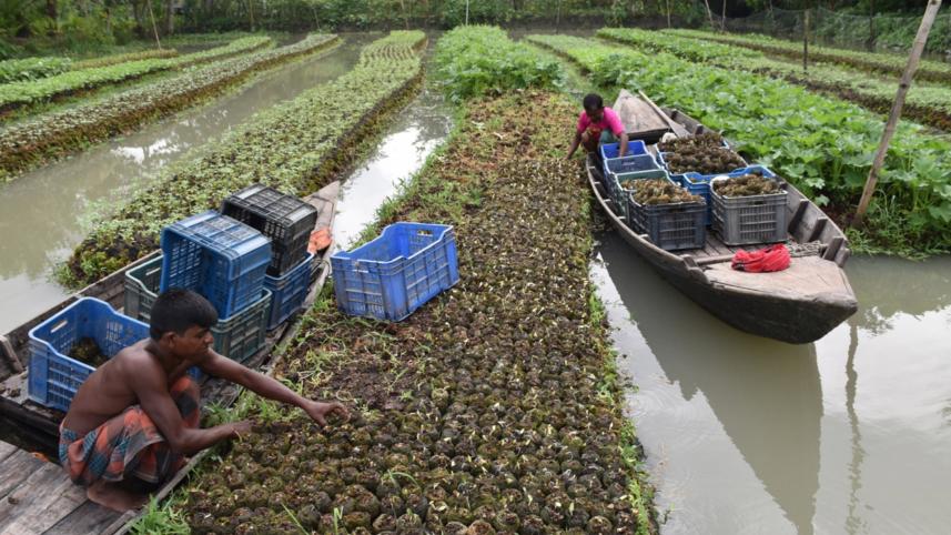 floating-agriculture.jpg