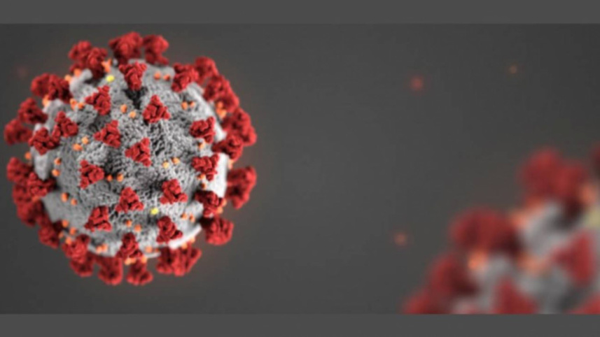 coronavirus_logo_0.jpg