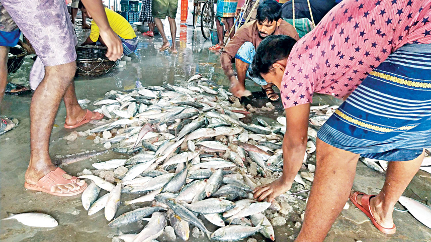 fishermen1.jpg