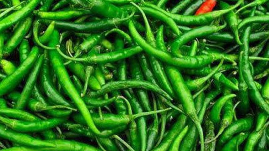 green-chilli-500x500.jpg