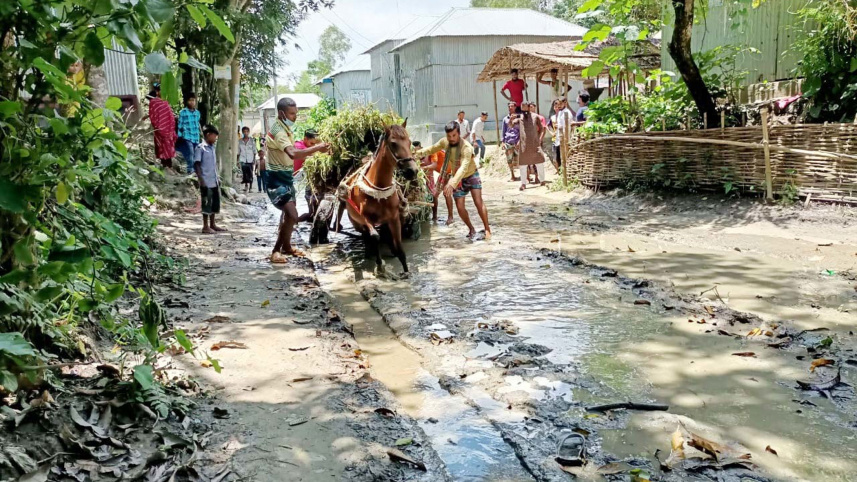 tangail-pic.jpg