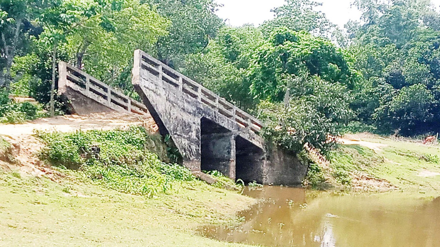 bridge.jpg