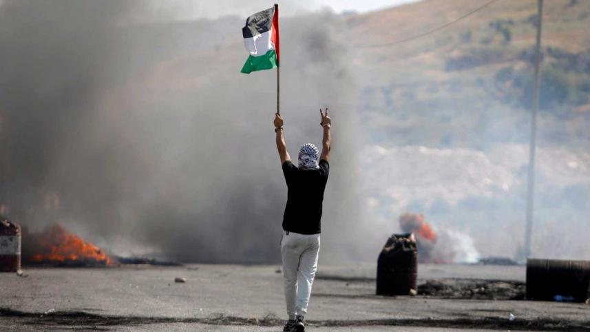 demonstrator-holds-palestinian-flag.jpg