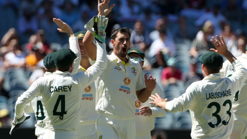 starc.jpg