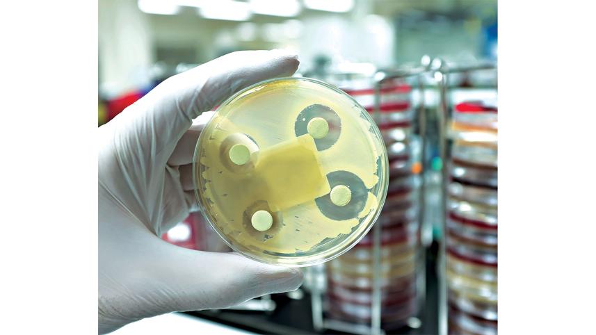 antibiotic-resistant-bacterial-infections.jpg