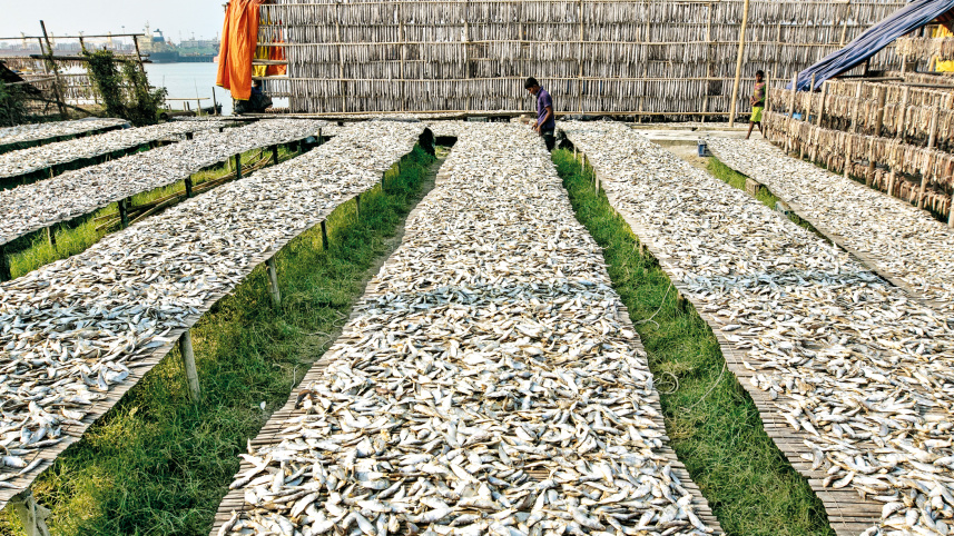 dry-fish1.jpg
