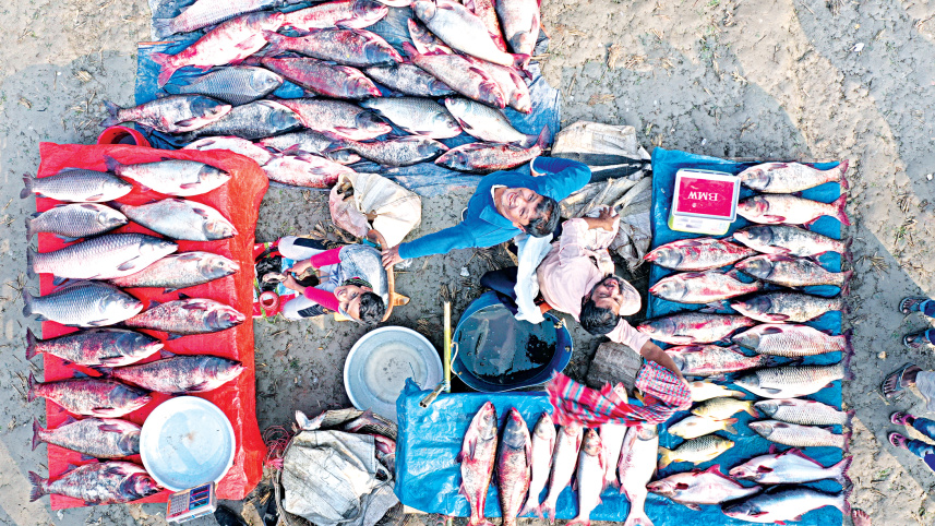 fish-market.jpg